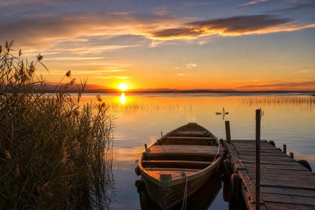 visitar Albufera Valencia